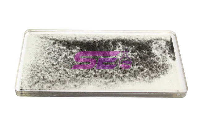 Magnetic Field Demonstrator